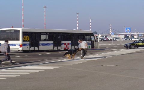 Milano Addestramento cani ubbidienza difesa Casa Tazzi