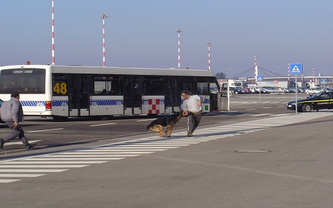 Cadorago Addestramento cani ubbidienza difesa Casa Tazzi