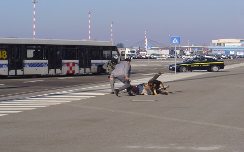 Milano Addestramento cani ubbidienza difesa Casa Tazzi