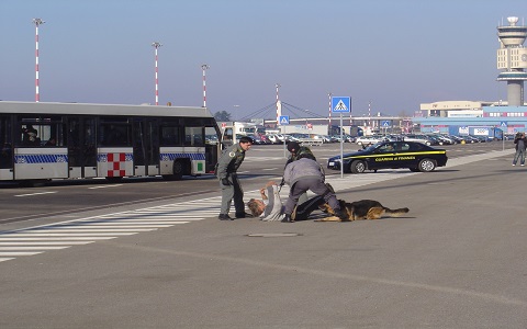Milano Addestramento cani ubbidienza difesa Casa Tazzi