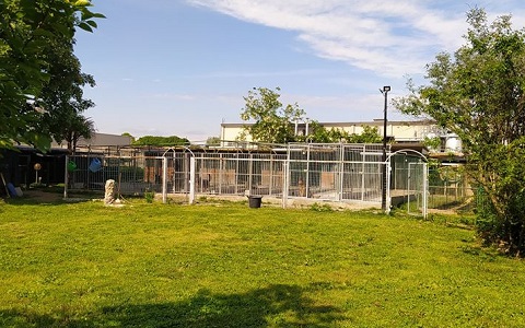 Pensione cani  Casa Tazzi Cardano Al Campo