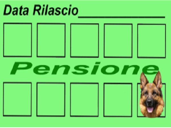 Pensione cani  Casa Tazzi Arona